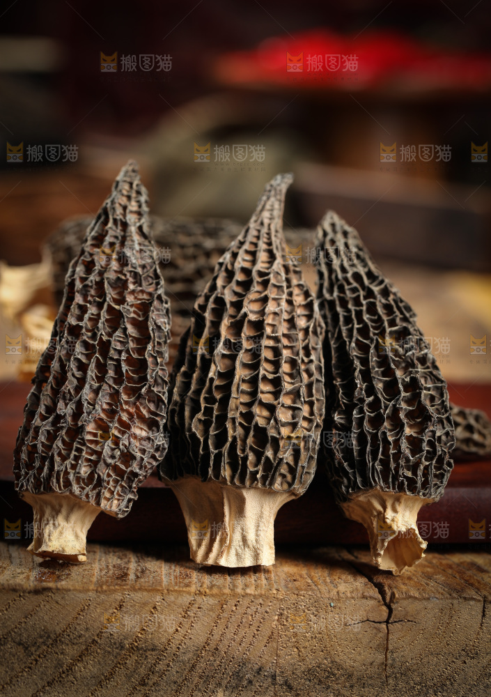 木底上摆放着羊肚菇
