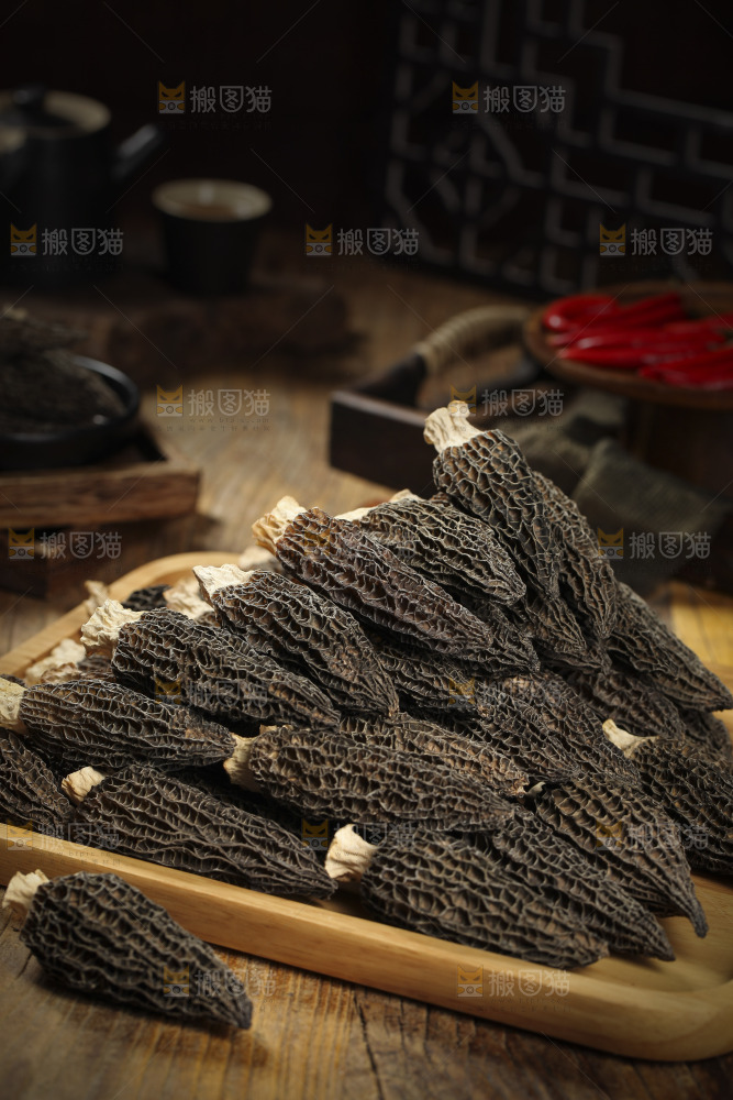 羊肚菌