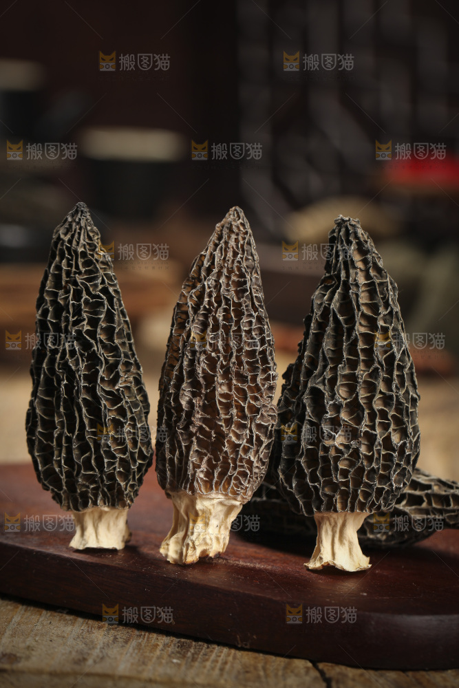 木底上的羊肚菇