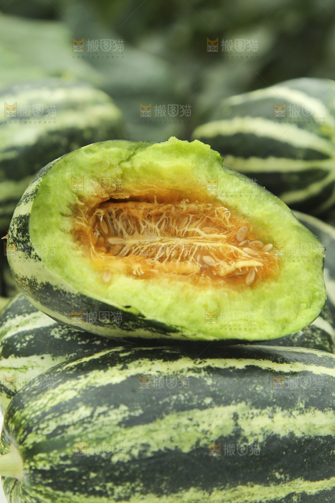 博洋9号甜瓜纹理