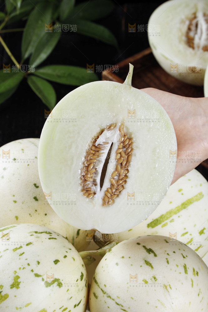 白心月露流星蜜瓜