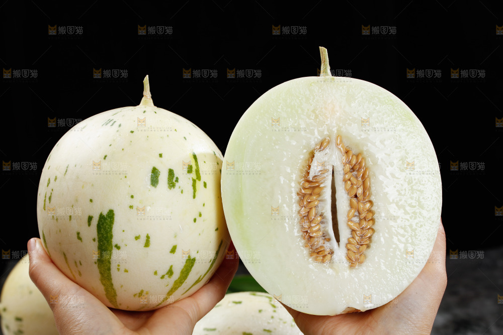 手里拿着白露流星蜜瓜
