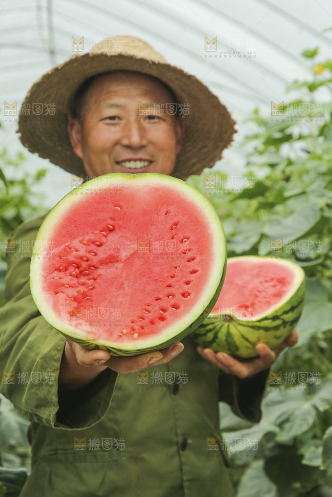 手里拿着切面的冰糖西瓜