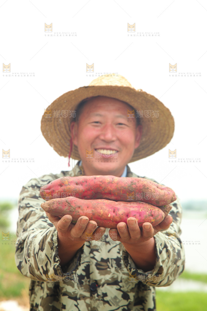 手里拿着板栗薯