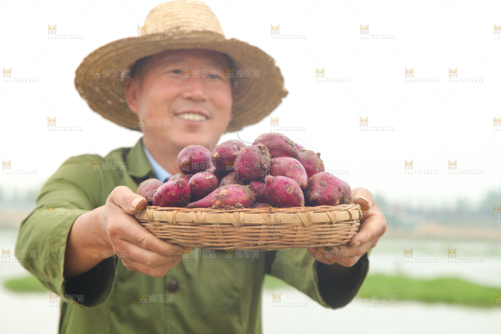 手里端着一篮新鲜鸡蛋薯
