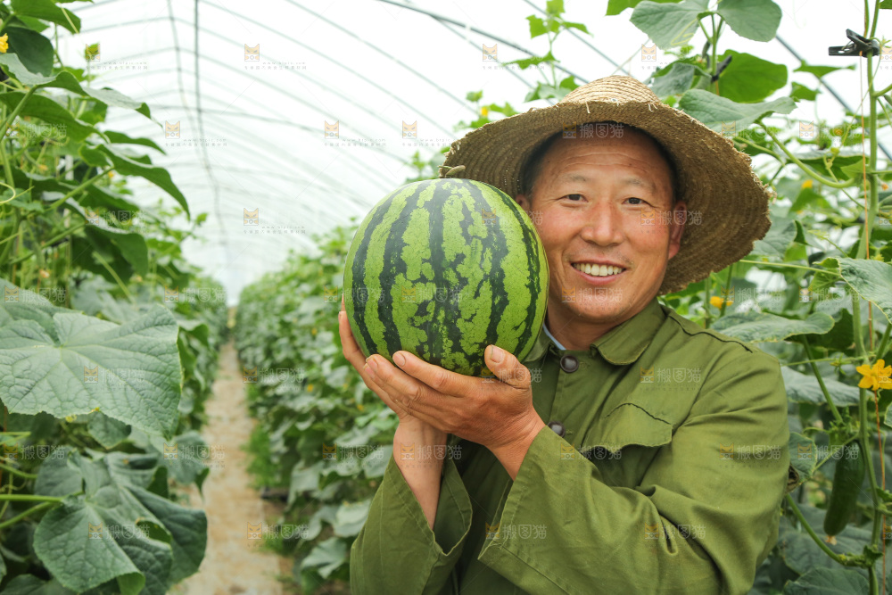 手里抱着个大西瓜