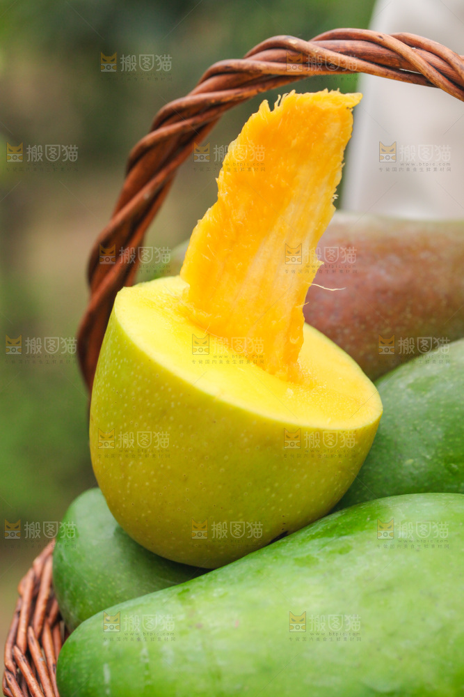 一篮水仙芒