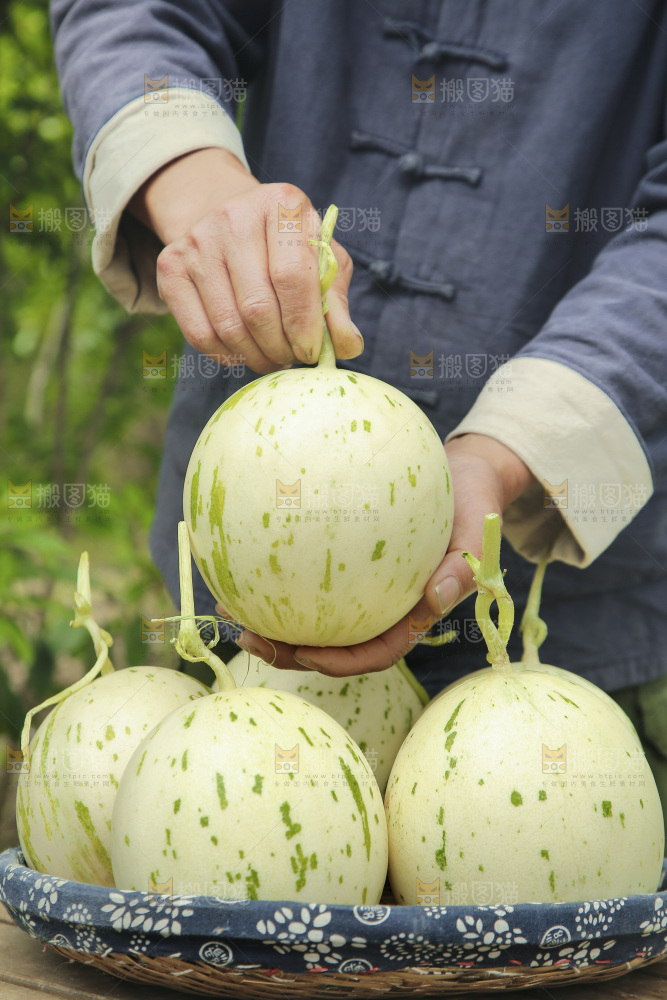 手里拿着月露蜜瓜