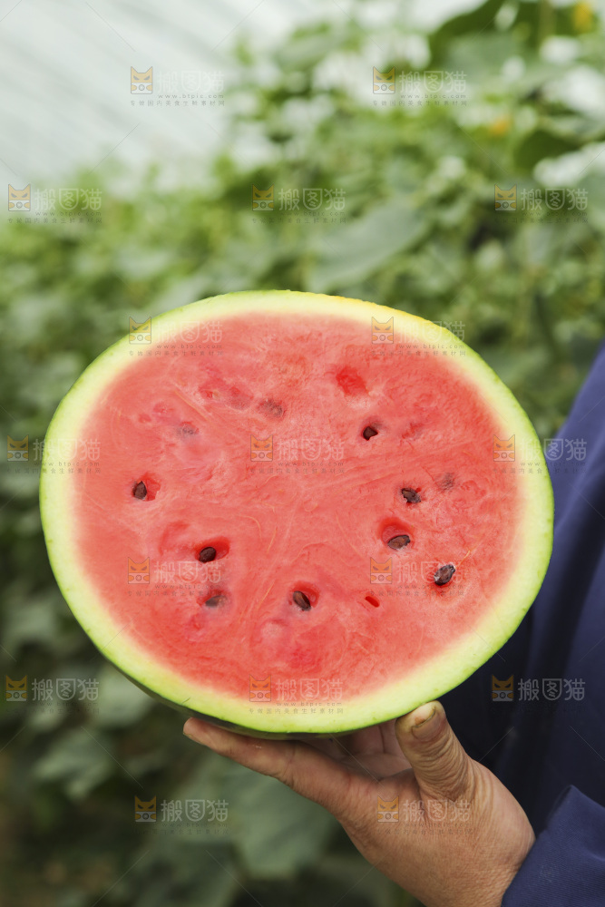 手里拿着半边面的红心西瓜