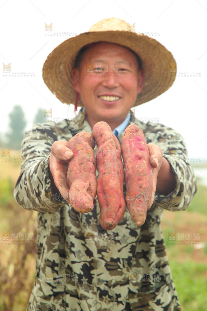 手里拿着板栗薯