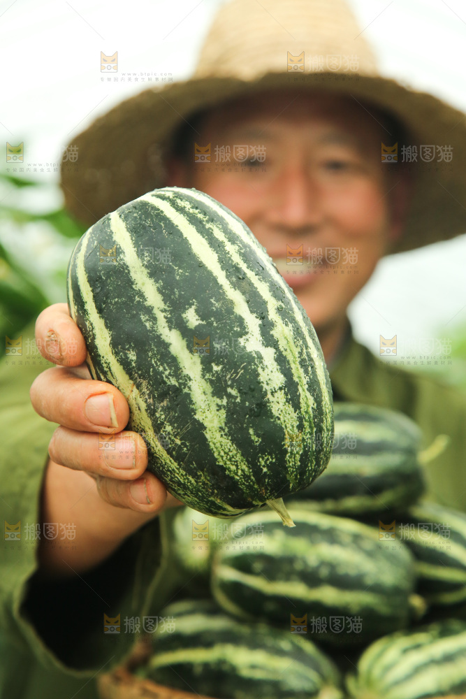 手里拿着博洋9号甜瓜