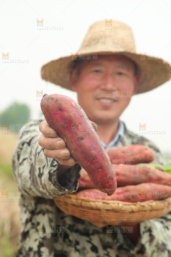 手里拿着板栗红薯