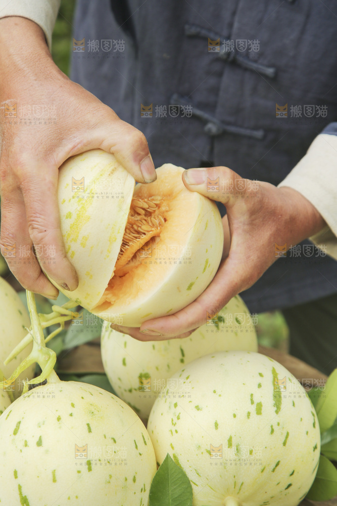 手里拿着红心月露流星蜜瓜