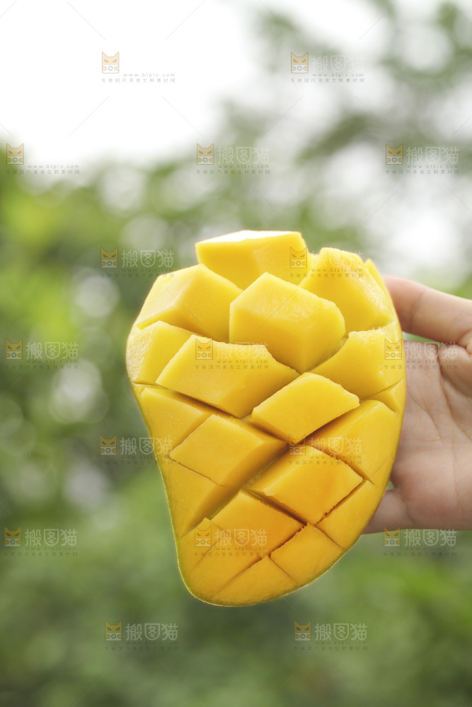 手里拿着水仙芒
