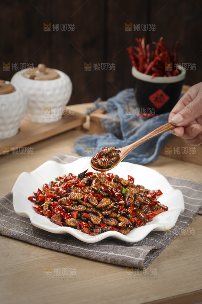 勺子上舀着蚕蛹