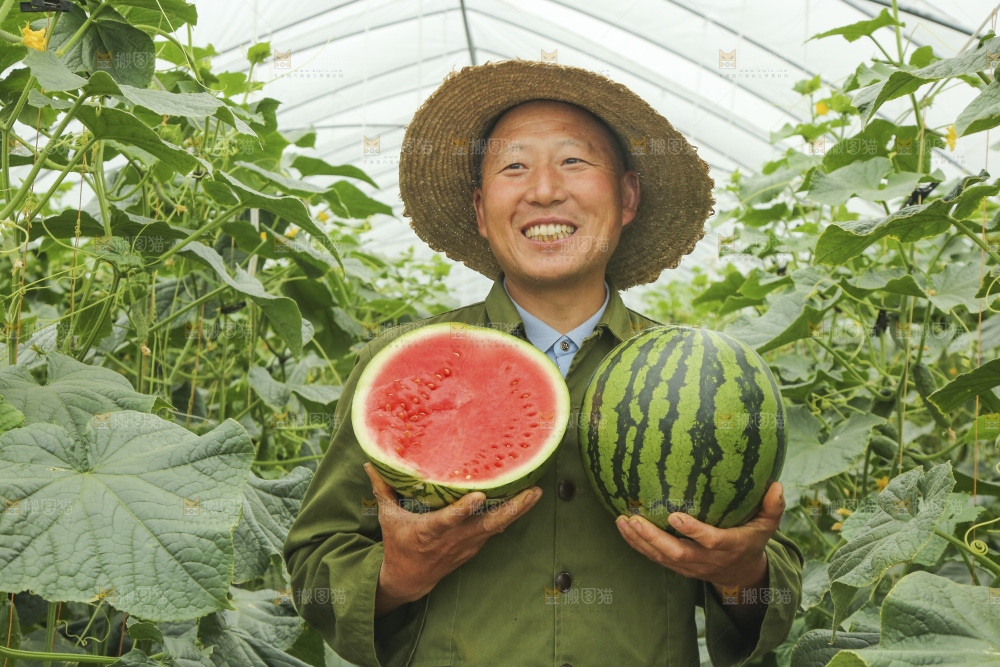手里抱着红肉西瓜