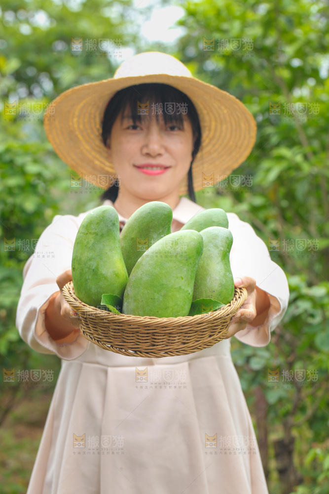 手里端着一篮青皮金煌芒