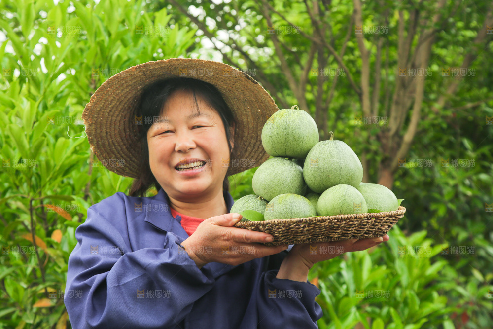 手里端着一篮新鲜绿宝甜瓜