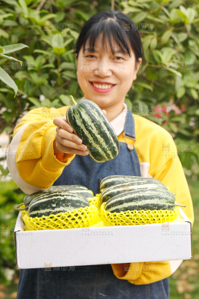 手里拿着博洋9号甜瓜