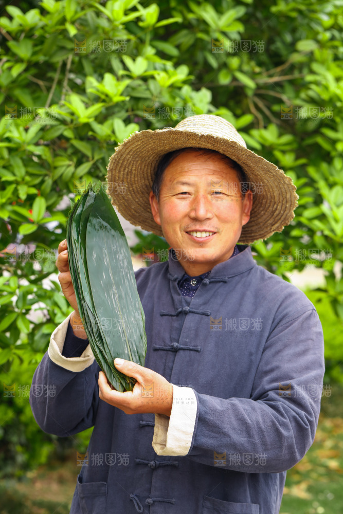 手里拿着粽叶