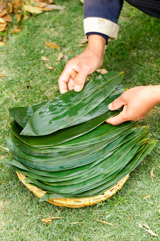 手里拿着箬叶