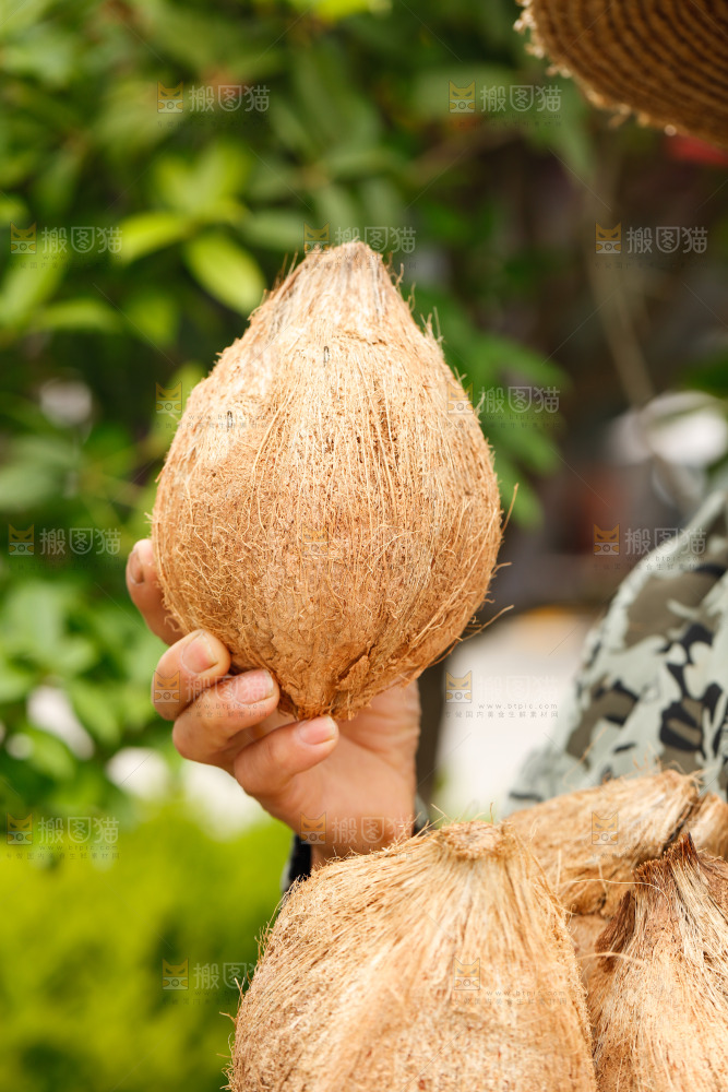 手里拿着老椰子