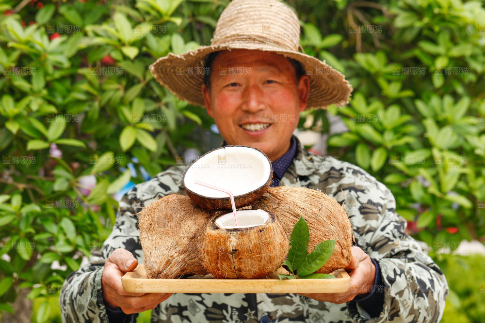 手里端着一盘老椰子