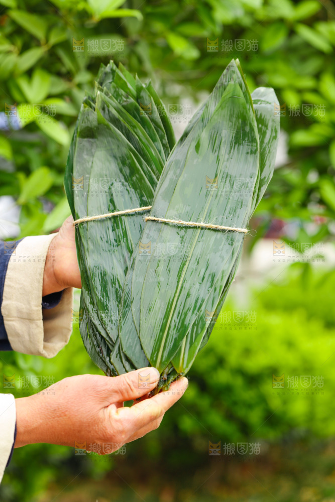 手里拿着粽子叶