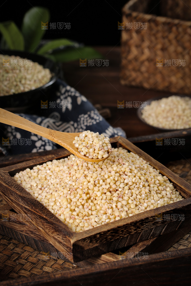 勺子上舀着白高粱米