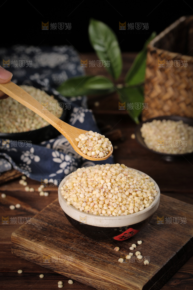 勺子上舀着白高粱米