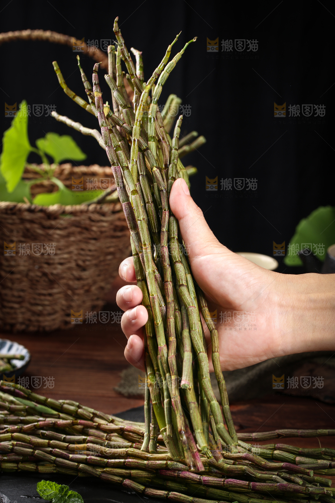手里拿着新鲜石斛