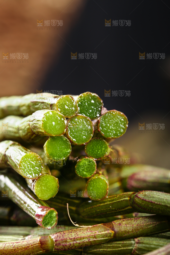 一堆新鲜铁皮石斛