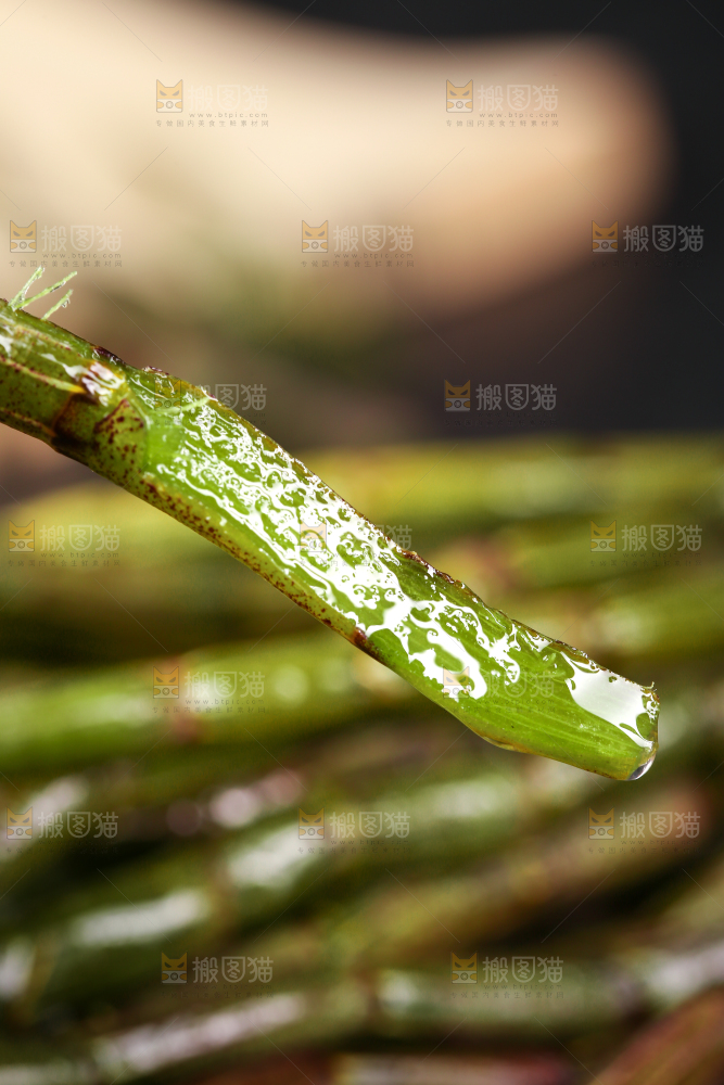 一根新鲜铁皮石斛