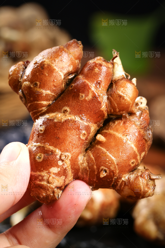 手里拿着沙姜