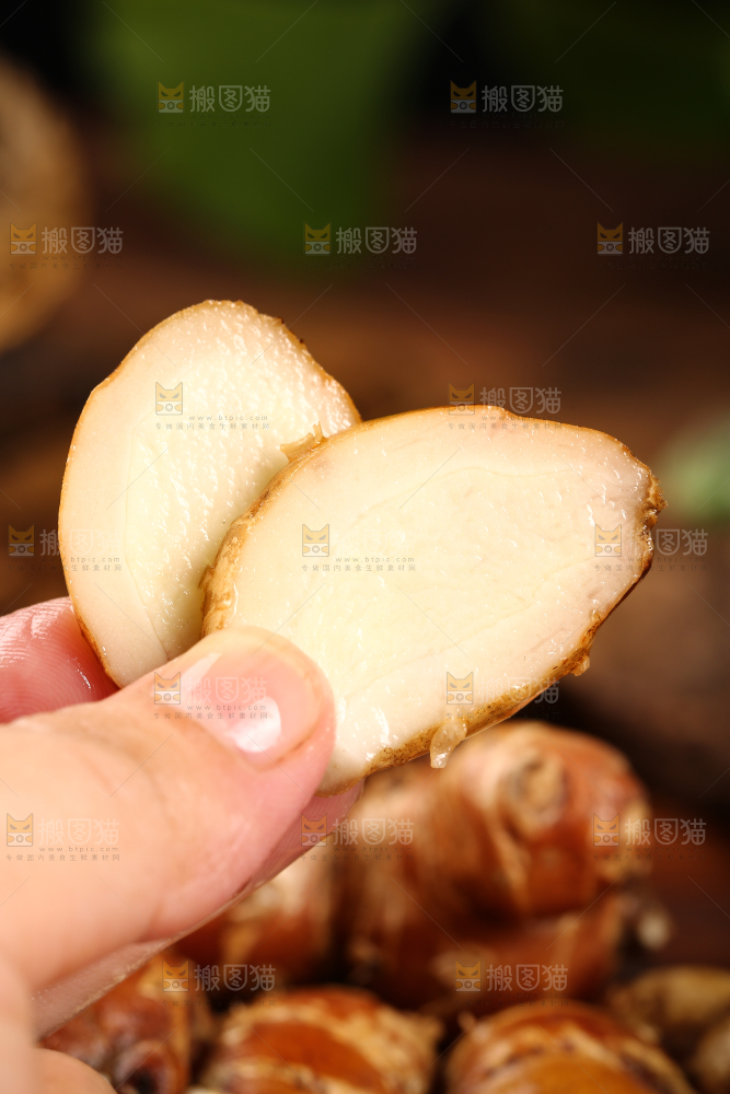 手里拿着沙姜片