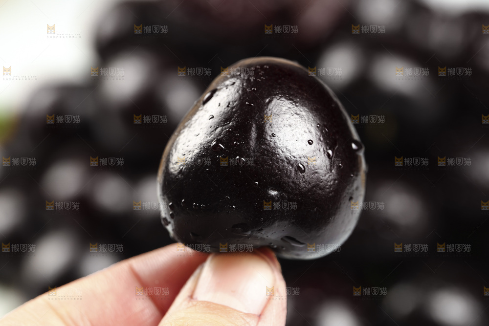 桑提娜车厘子
