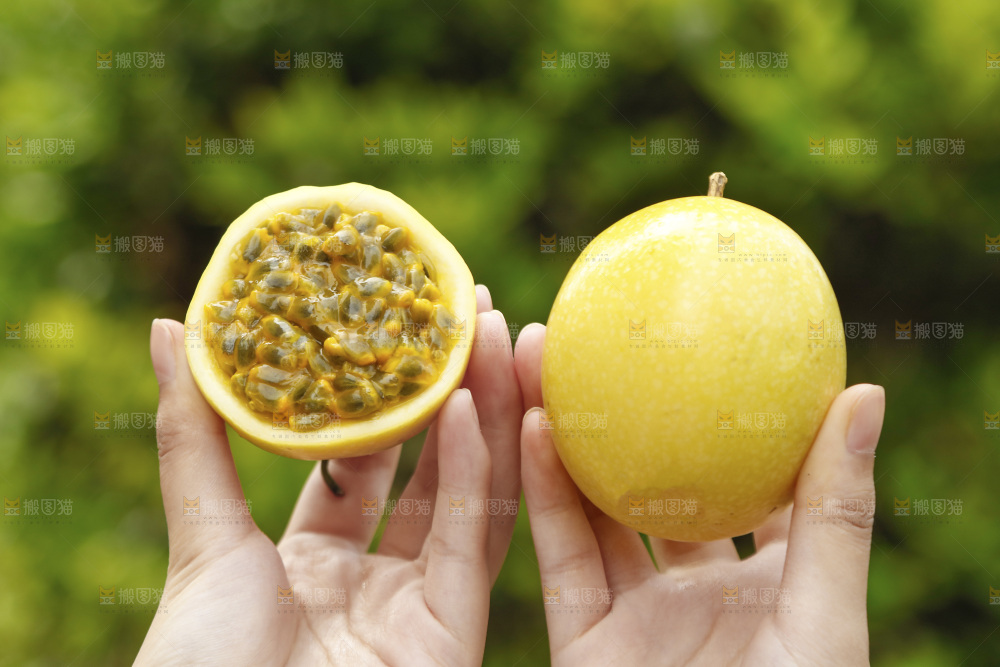 黄金百香果