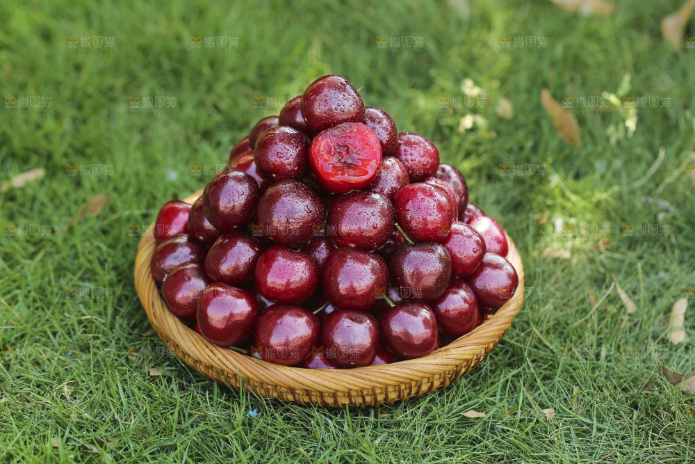 草地上放着一篮大樱桃