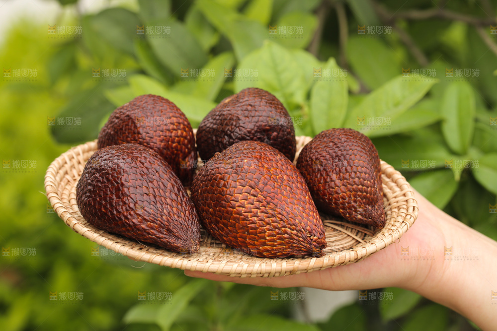 手里端着一盘蛇皮果