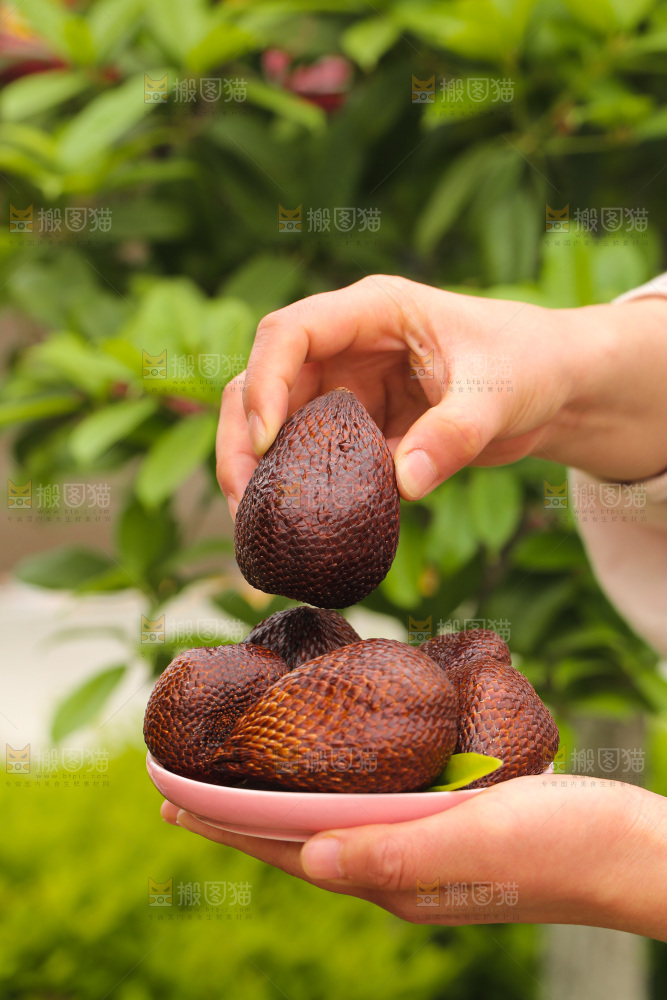 手里拿着新鲜蛇皮果