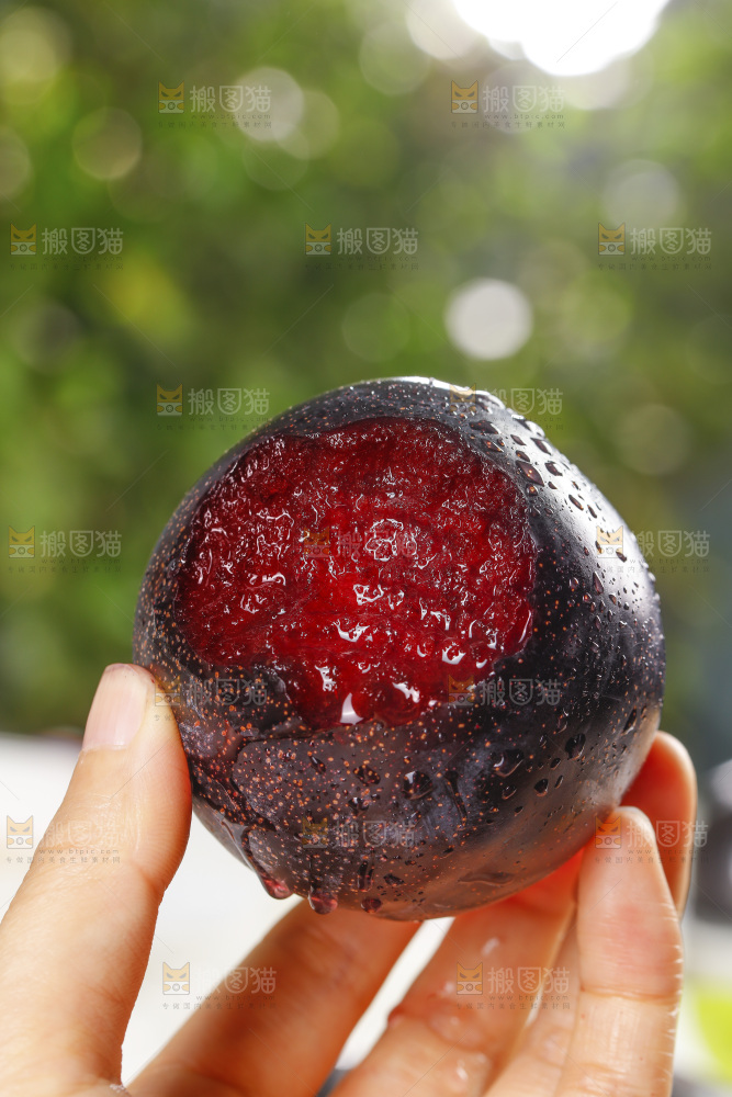 手里拿着恐龙蛋李