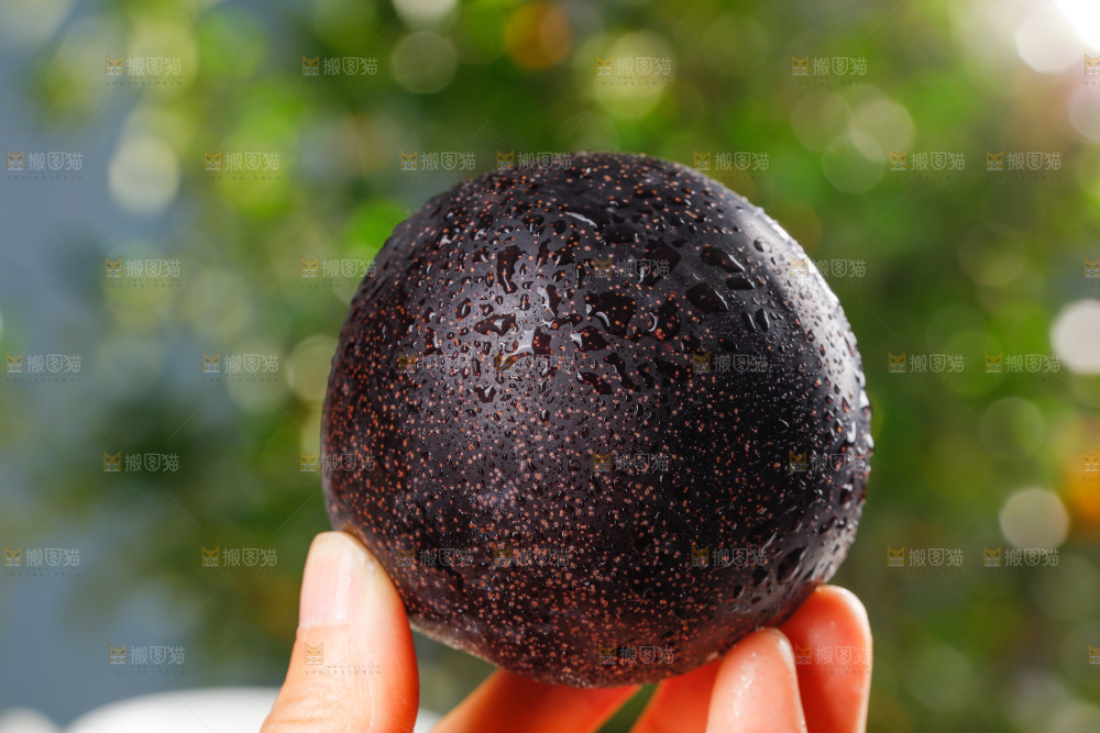 手里拿着着恐龙蛋李