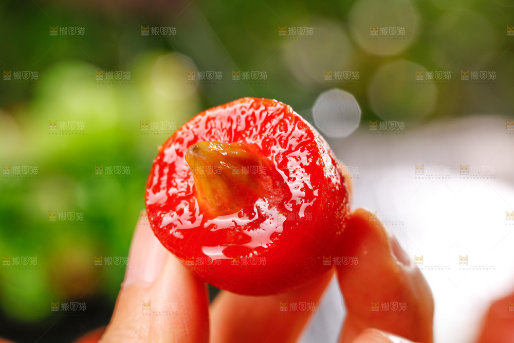 手里拿着羊奶果