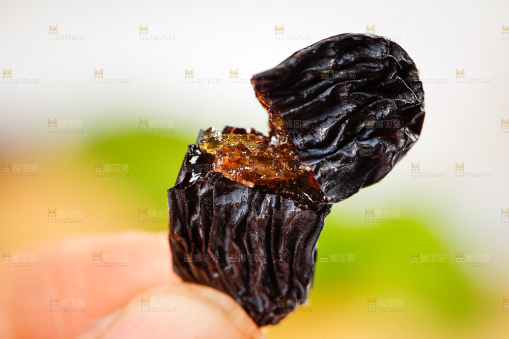 手里拿着黑加仑葡萄干