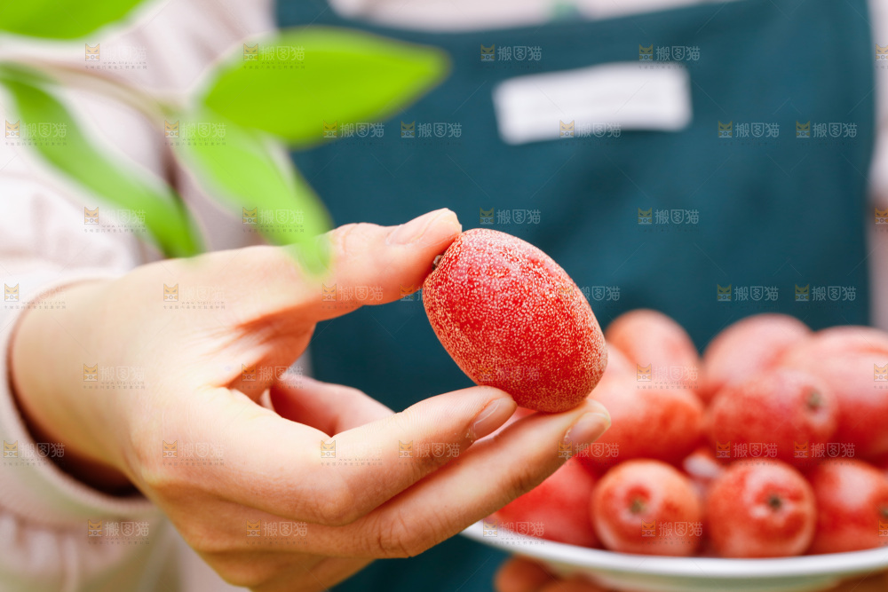 手里拿着新鲜羊奶果