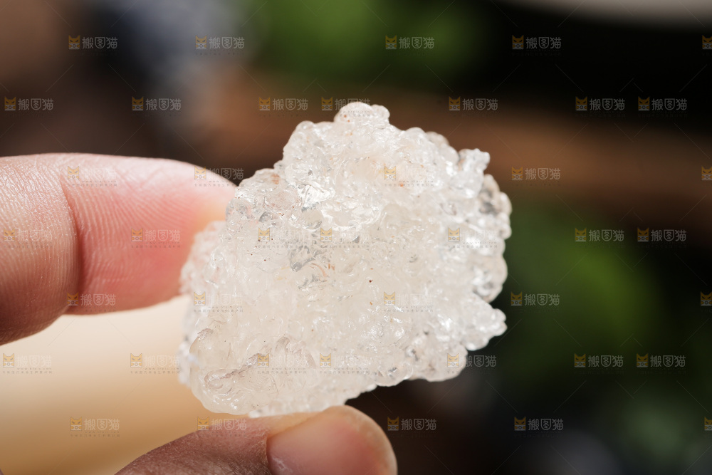 手里拿着拉丝雪燕