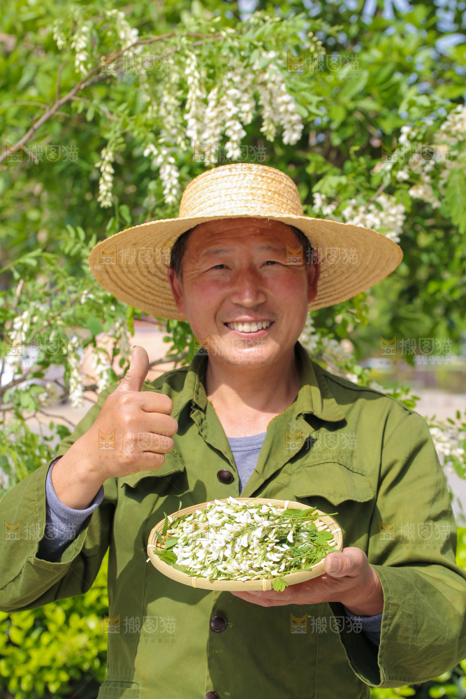手里端着一盘洋槐花