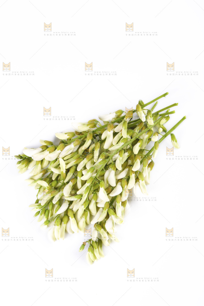 白底上放着槐花