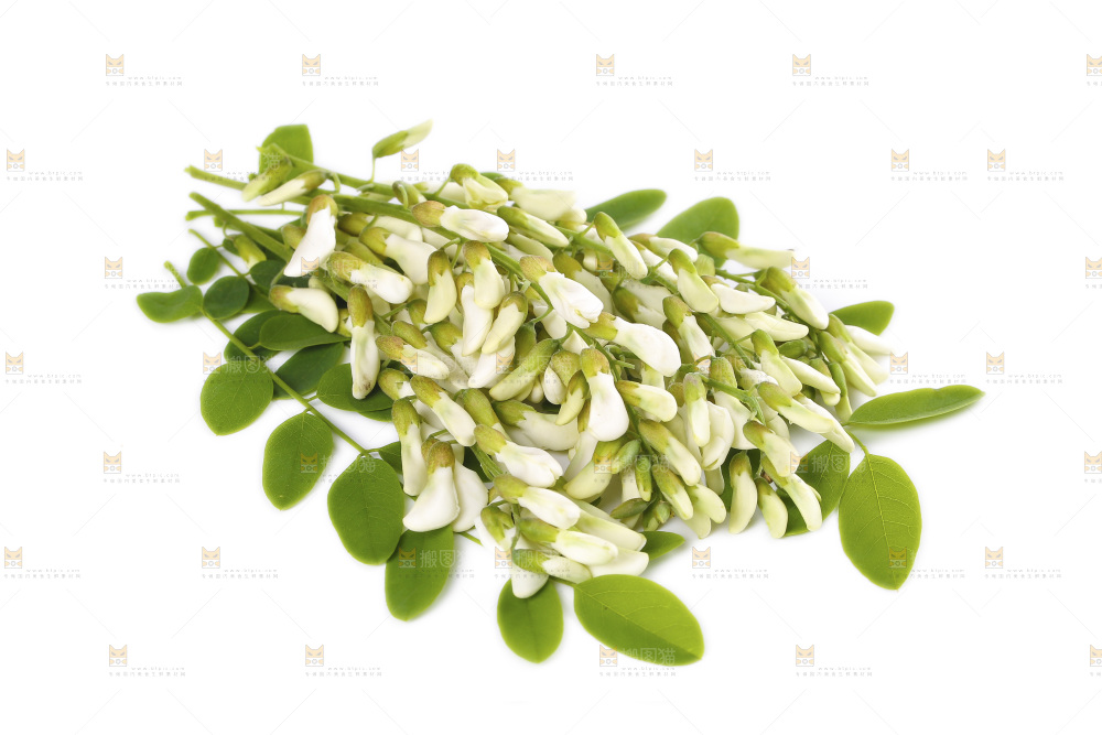 白底上放着槐花