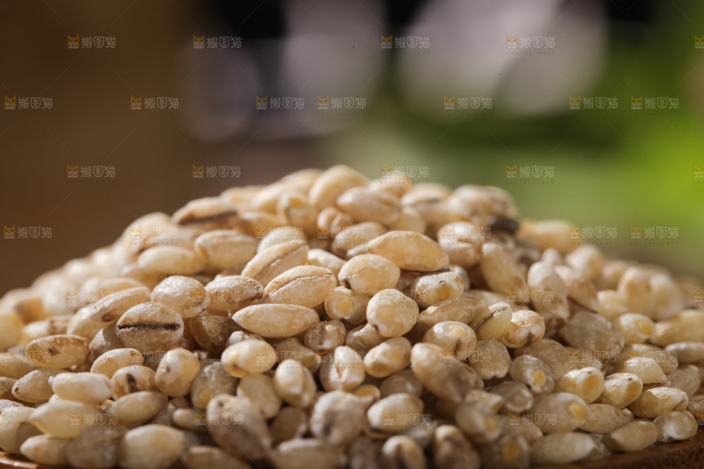一堆白青稞米